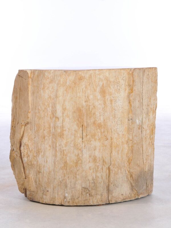 Side table petrified wood 42010