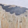 Side table petrified wood 42013
