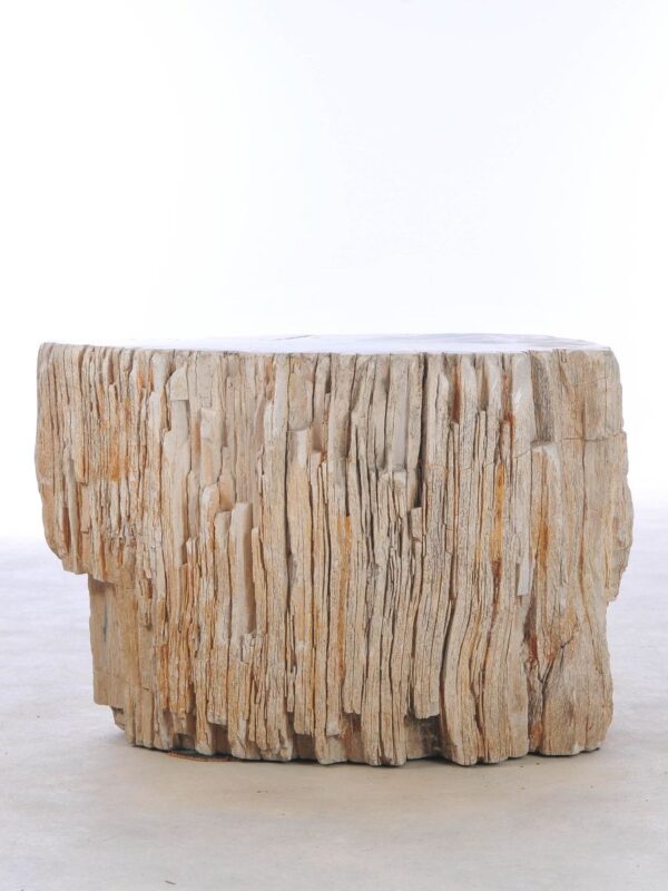 Side table petrified wood 42013