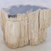 Side table petrified wood 42013