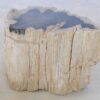 Side table petrified wood 42013