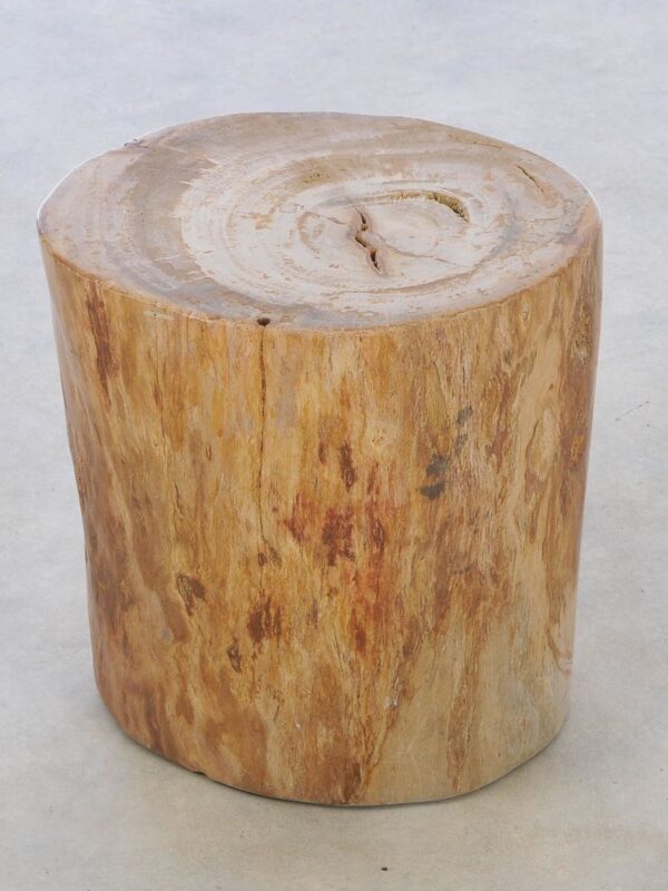 Side table petrified wood 42032