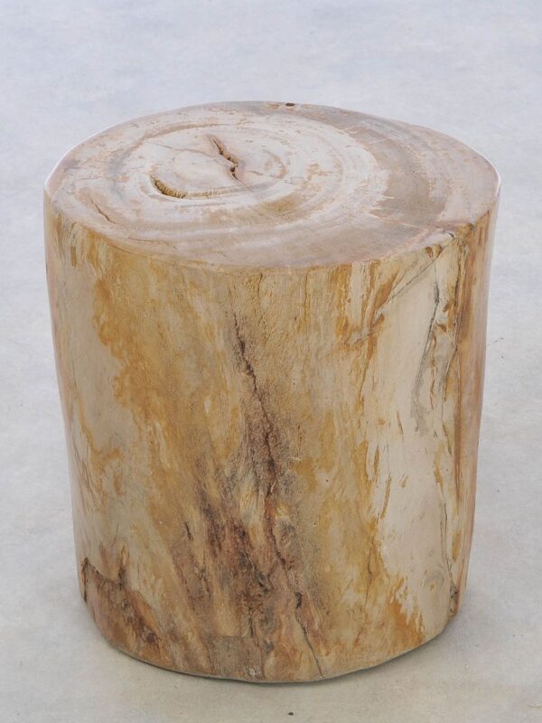 Side table petrified wood 42032