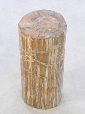 Side table petrified wood 42035