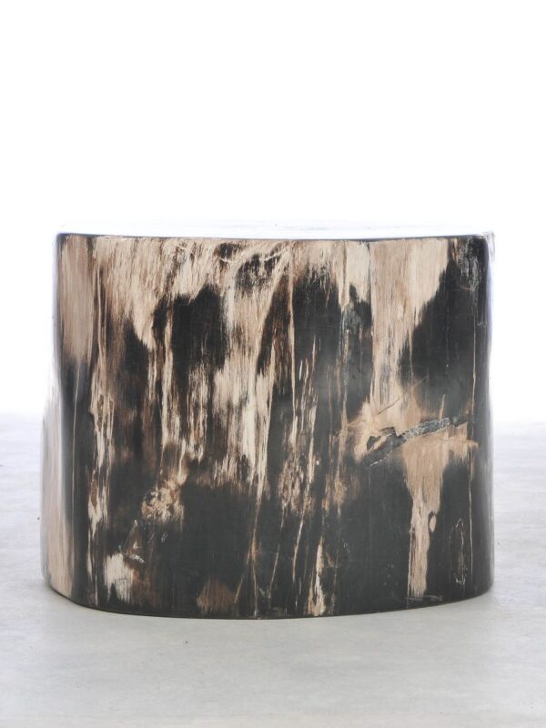 Side table petrified wood 42037
