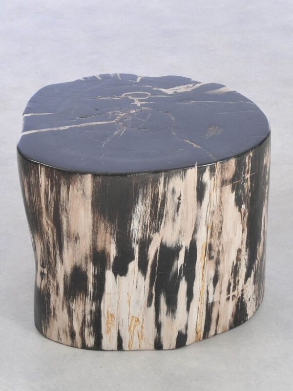 Side table petrified wood 42039