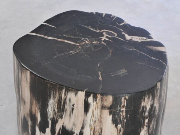 Side table petrified wood 42039