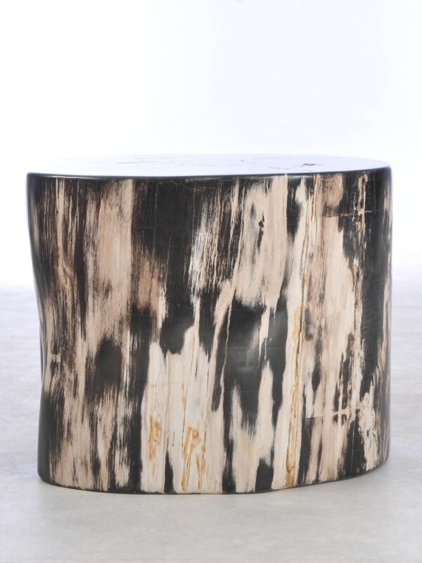 Side table petrified wood 42039