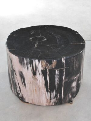 Side table petrified wood 42040