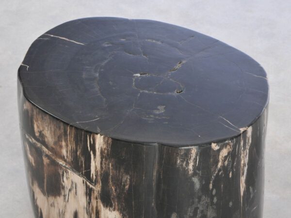 Side table petrified wood 42040