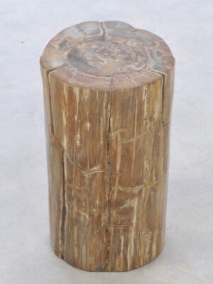 Side table petrified wood 42041