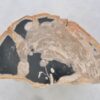 Side table petrified wood 42116