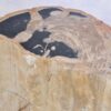 Side table petrified wood 42116