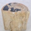 Side table petrified wood 42116