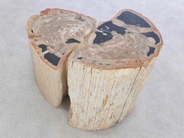 Side table petrified wood 42116
