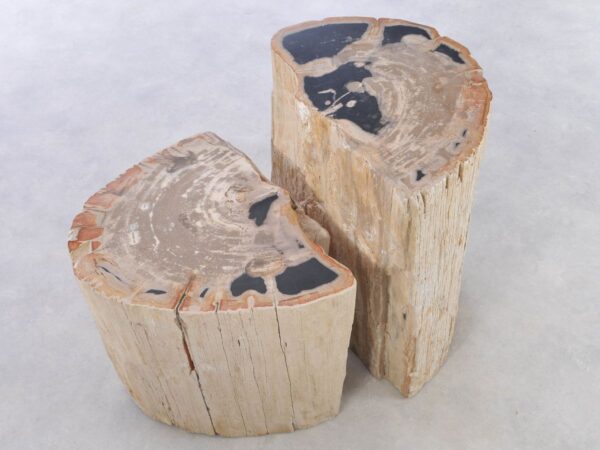 Side table petrified wood 42116