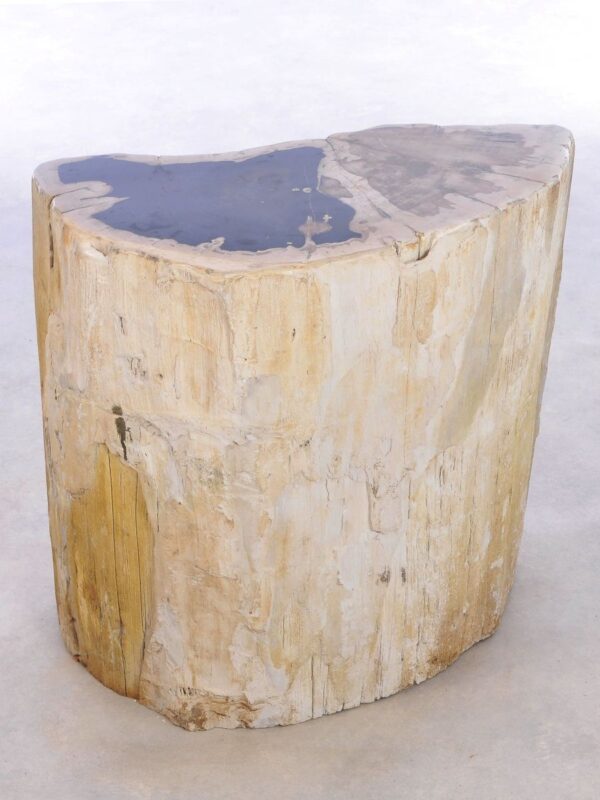 Side table petrified wood 42117