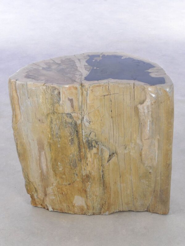 Side table petrified wood 42117