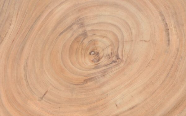 Table basse suar 29571