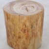 Table d'appoint bois pétrifié 42032