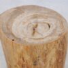Table d'appoint bois pétrifié 42032