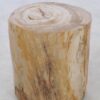 Table d'appoint bois pétrifié 42032