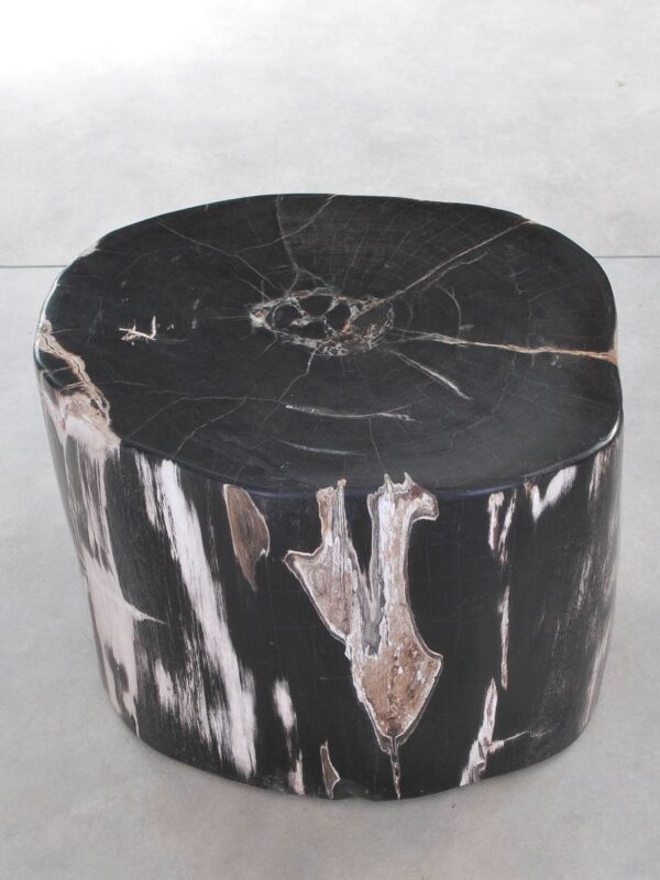 Table d'appoint bois pétrifié 42037