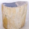 Table d'appoint bois pétrifié 42117