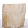Table d'appoint bois pétrifié 42117