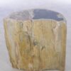 Table d'appoint bois pétrifié 42117
