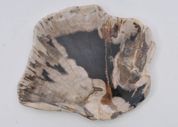 Teller versteinertes Holz 42077e