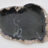 Teller versteinertes Holz 42079o