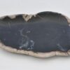Teller versteinertes Holz 42079o