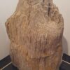 Grafsteen versteend hout 19045