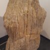 Grafsteen versteend hout 19045