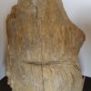 Grafsteen versteend hout 19045