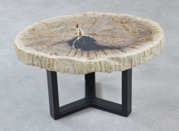Coffee table petrified wood 35186
