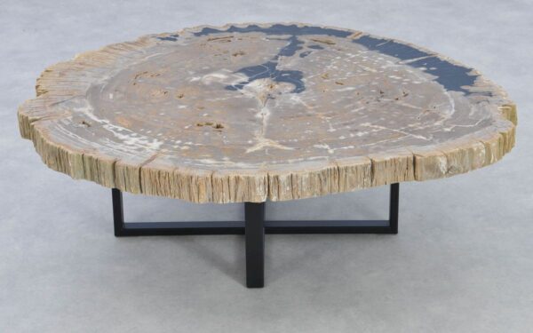 Coffee table petrified wood 37193