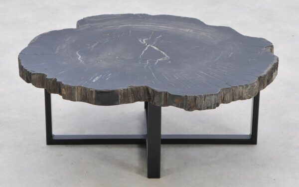 Coffee table petrified wood 42130
