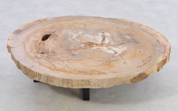 Coffee table petrified wood 42139