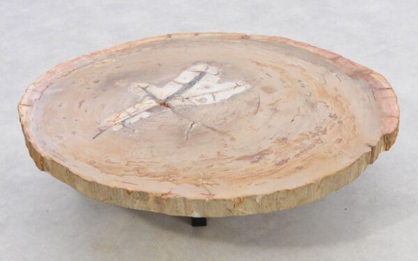 Coffee table petrified wood 42140