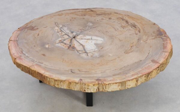 Coffee table petrified wood 42142