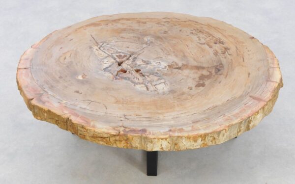 Coffee table petrified wood 42143