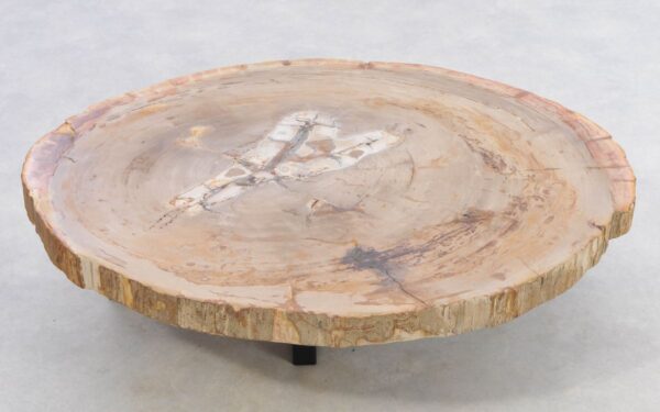 Coffee table petrified wood 42144