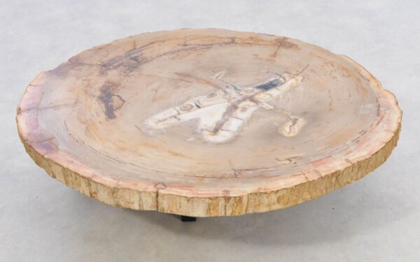 Coffee table petrified wood 42145