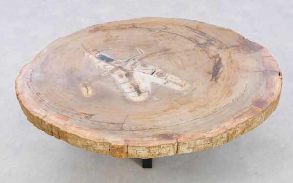 Coffee table petrified wood 42146