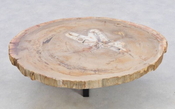 Coffee table petrified wood 42147