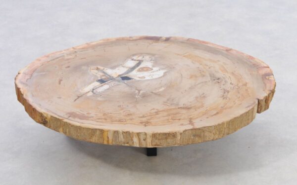 Coffee table petrified wood 42148