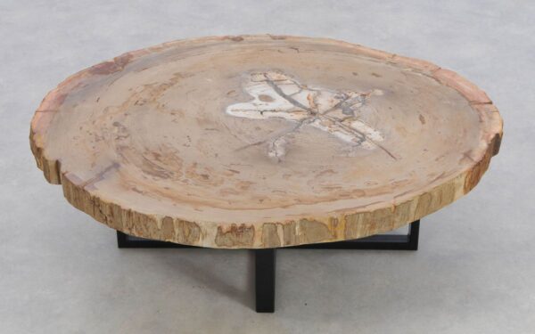 Coffee table petrified wood 42149