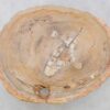Coffee table petrified wood 42151